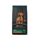 Pro-Plan-Alimento-Para-Perro-Puppy-Large-Breed-R.G-13-Kg