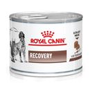 ROY-CANINE-RECOVERY-LATA-164-GR-REF.0208