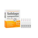 Solidago-Compositum-5-Ampollas-X-5.0-mL