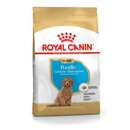 Royal-Canin-Poodle-Cachorro-3-Kg-